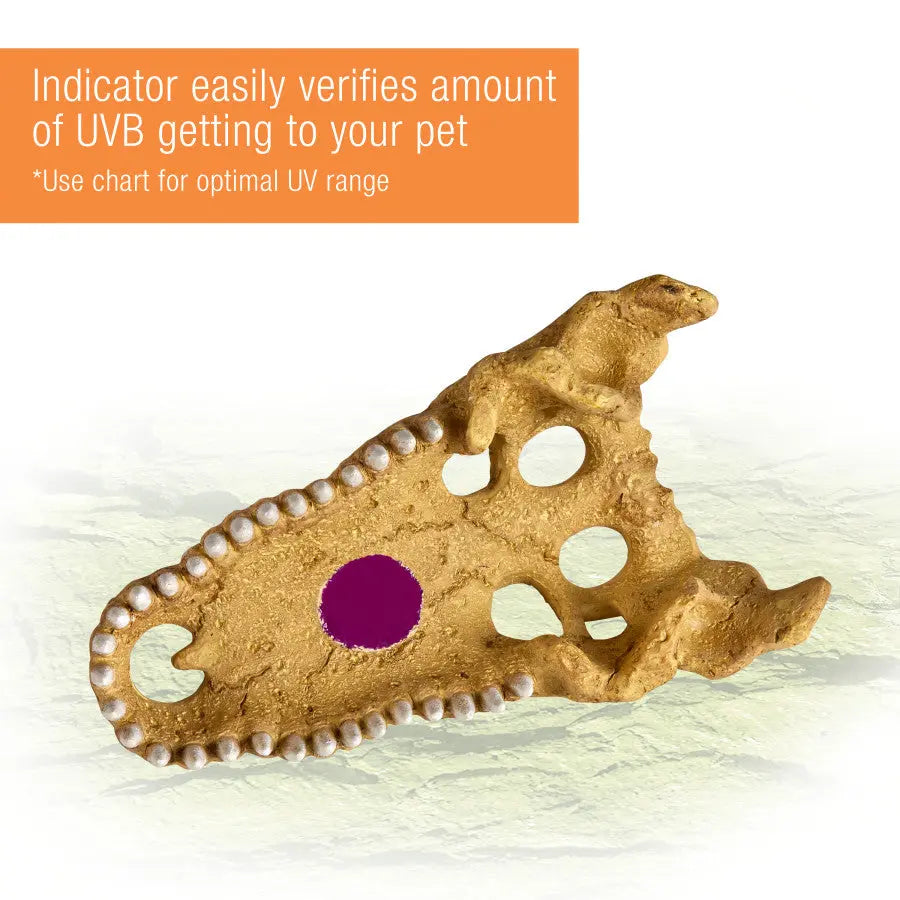 Zilla Decorative Crocodile Skull Rapid Sense Reptile Supply for Optimal UV Detection