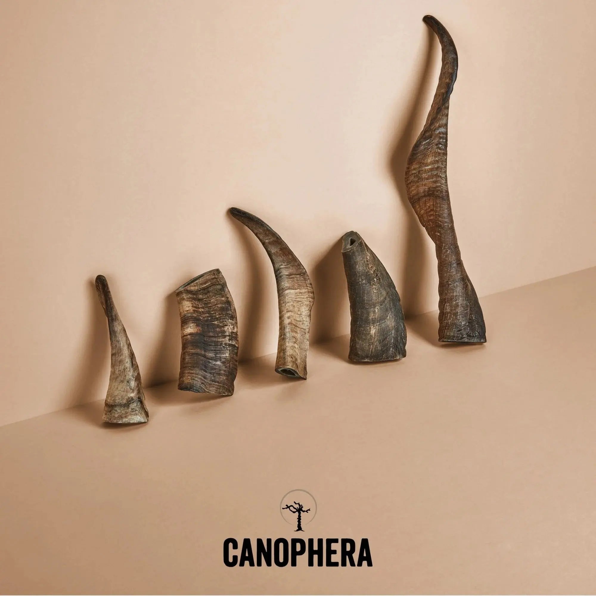 CANOPHERA All - Natural Sheep Horn Chew Toy for Dogs