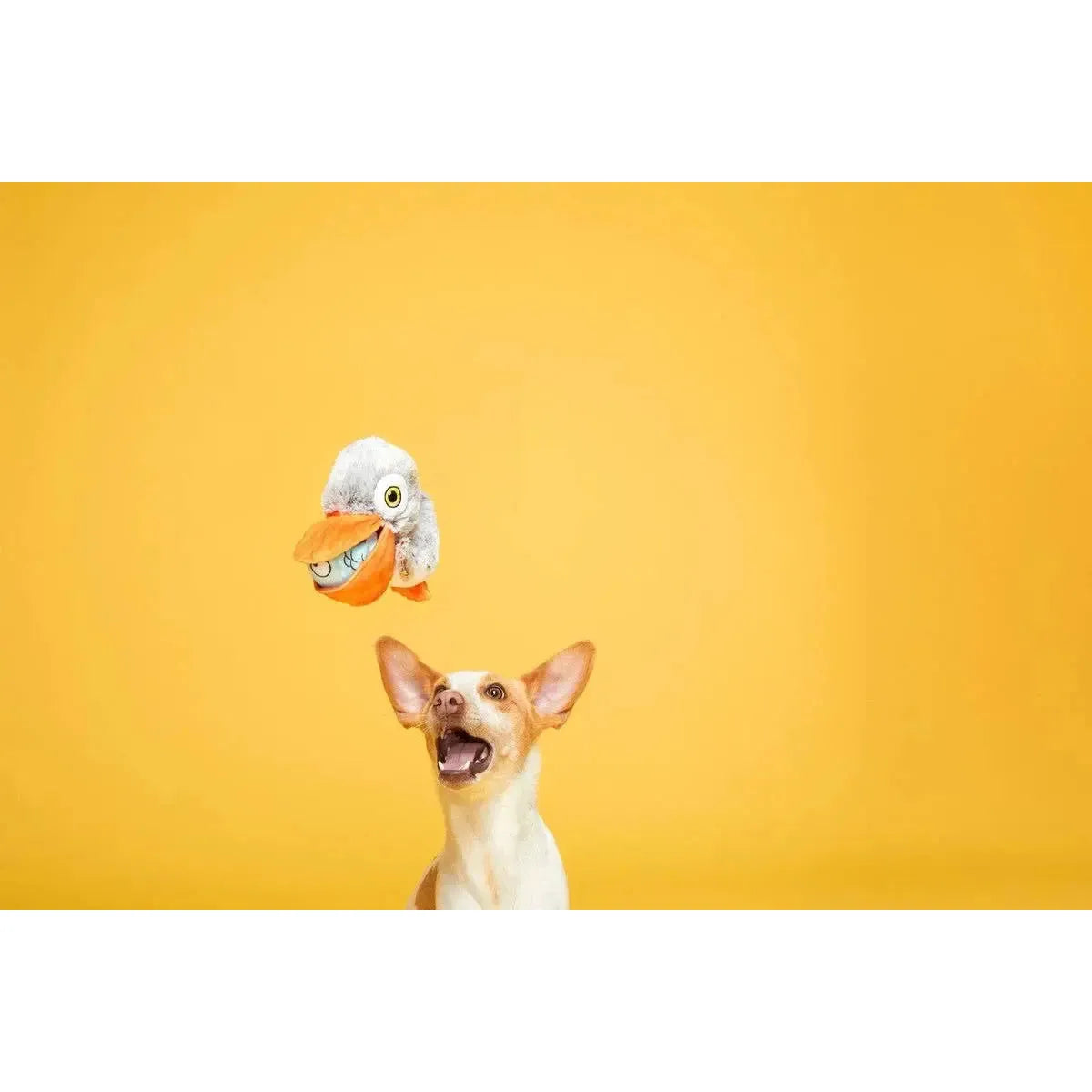 BARK Interactive Big Bill Pelican & Beak-A-Boo Fish Dual Dog Toy