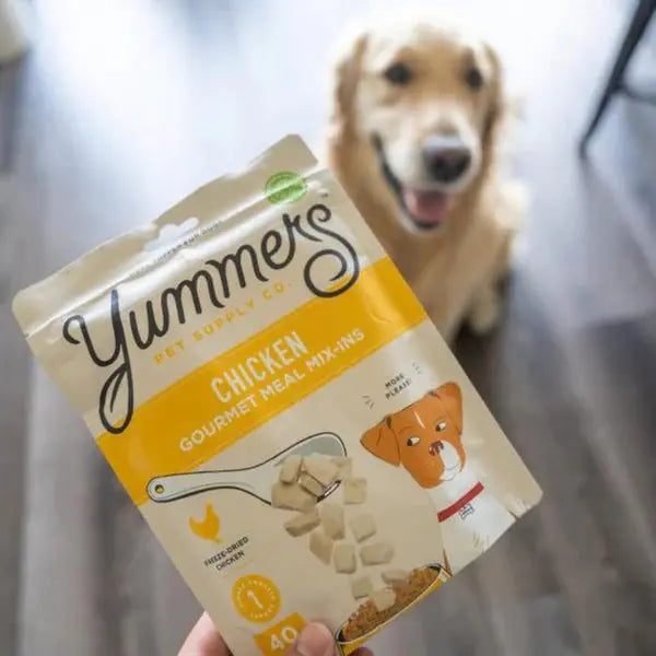 Yummers 2.5 oz. Freeze - Dried All - Natural USA - Sourced Chicken Dog Food Topper