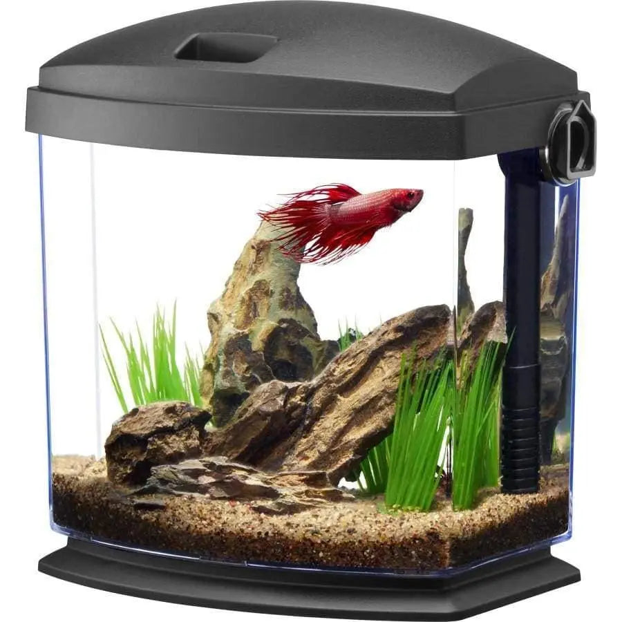 Aqueon Black Betta Aquarium Kit with Innovative Quick Clean Technology