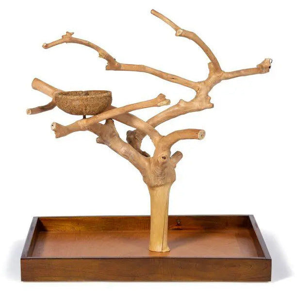 Prevue Pet Products Mini Table Top Playstand Made of Coffeawood for Small Birds
