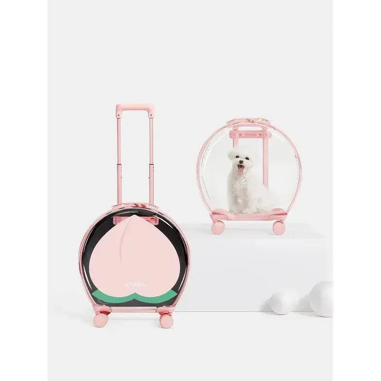 Vetreska Durable Polycarbonate Bubble Pet Carrier for Cats and Small Dogs
