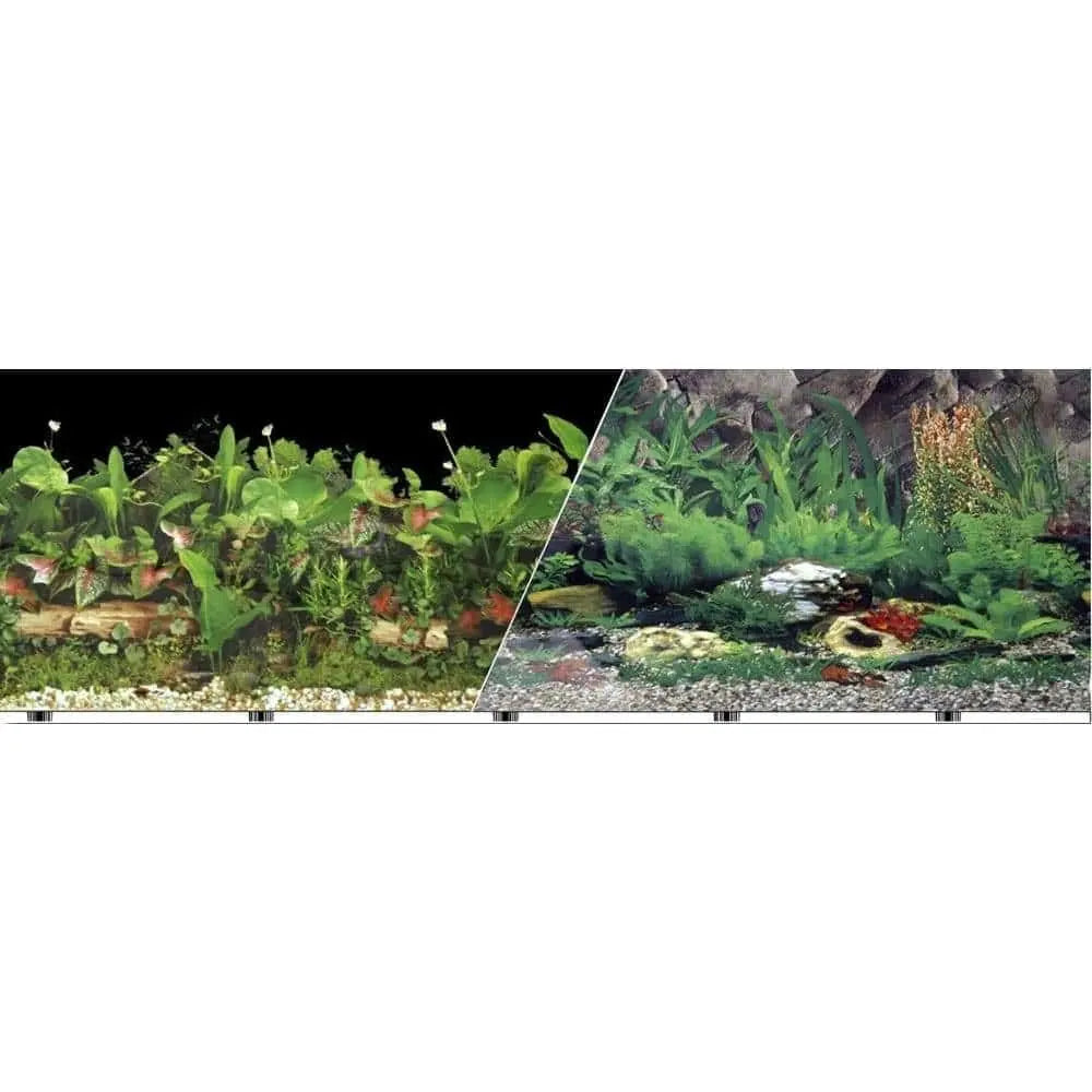 Double-sided Tropical Freshwater Background for Stunning Displays