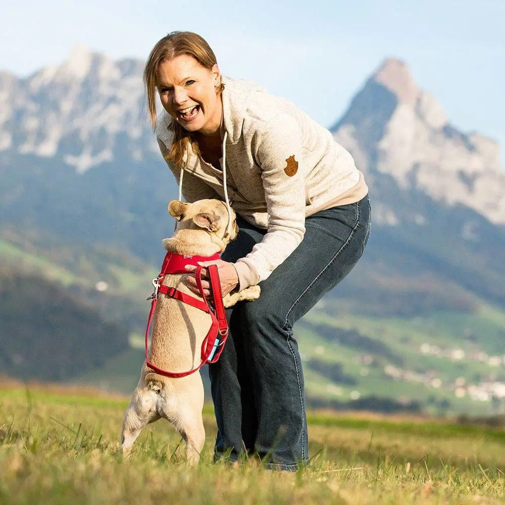 Adjustable Step-in Light Air-Mesh Dog Harness for Optimal Comfort