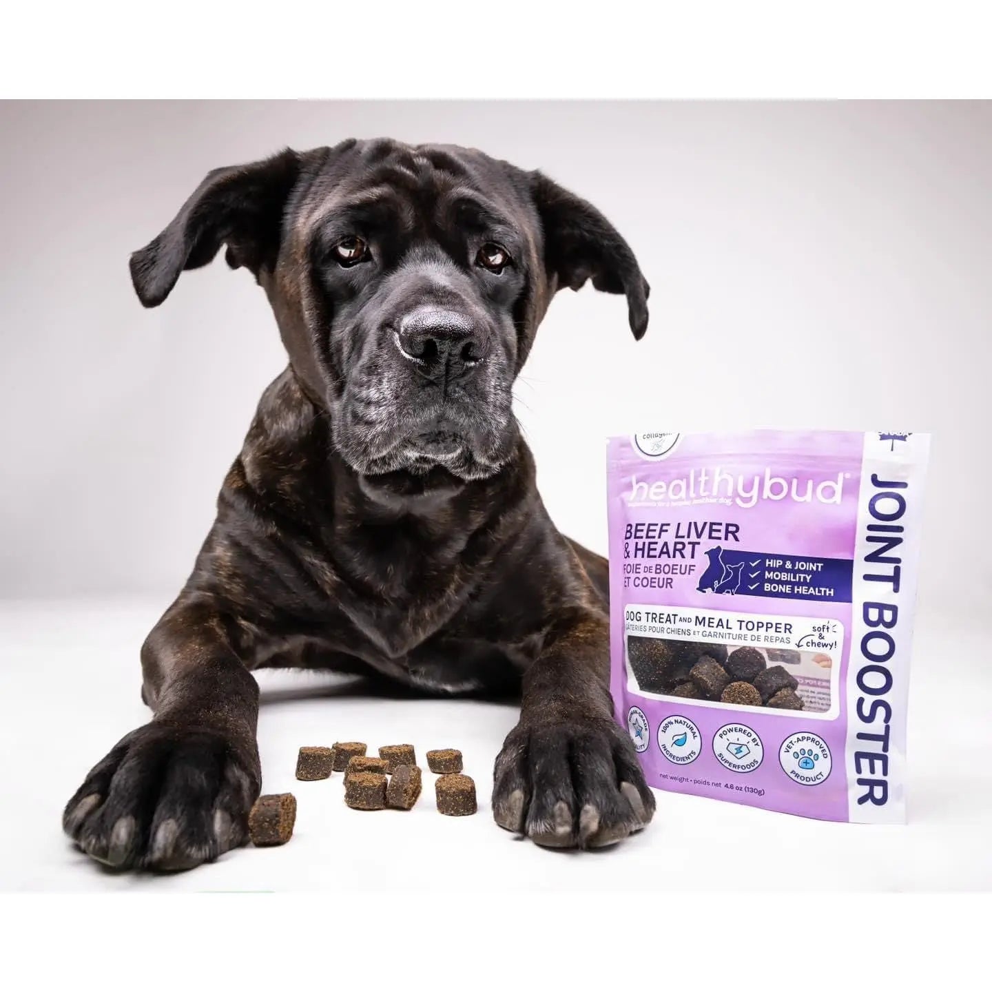 Healthybud Premium Beef-flavored Joint Booster Soft Dog Treats Specially Designed for Senior Dogs