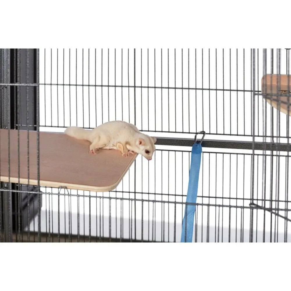 Prevue Pet Products Chalk White Small Bird Flight Cage F041 with Stand