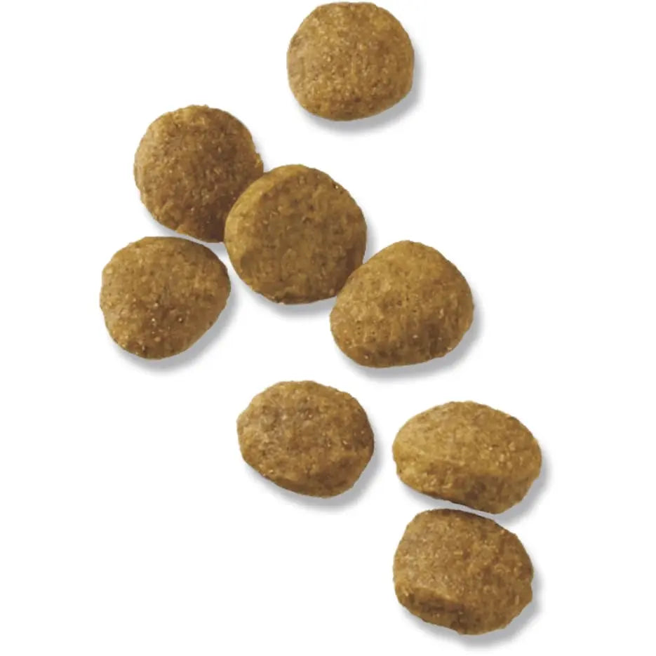 Pro Plan Premium Chicken and Rice Puppy Dry Dog Food for Optimal Growth
