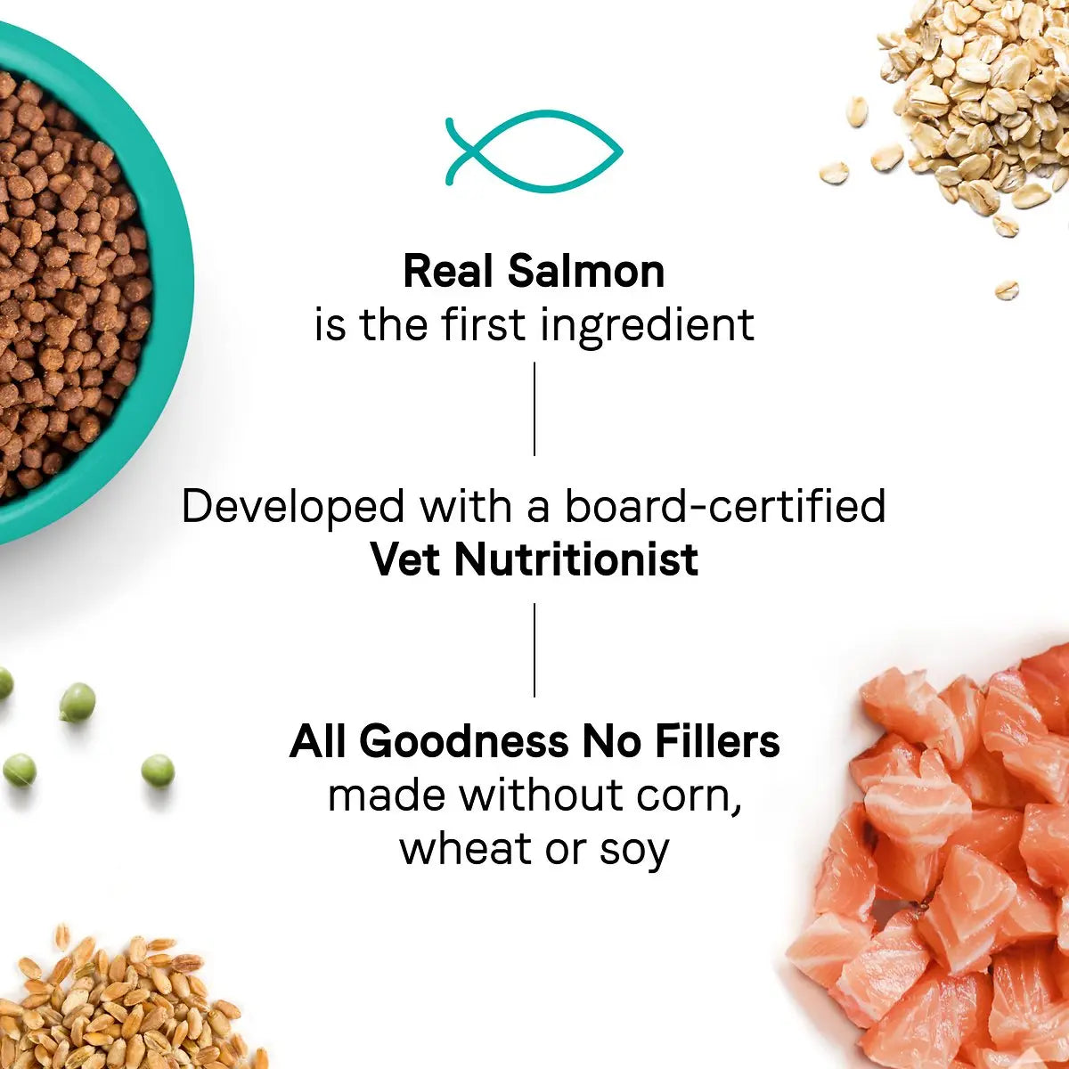 CANIDAE Premium Dry Cat Food Formula with Real Salmon for Joint Health