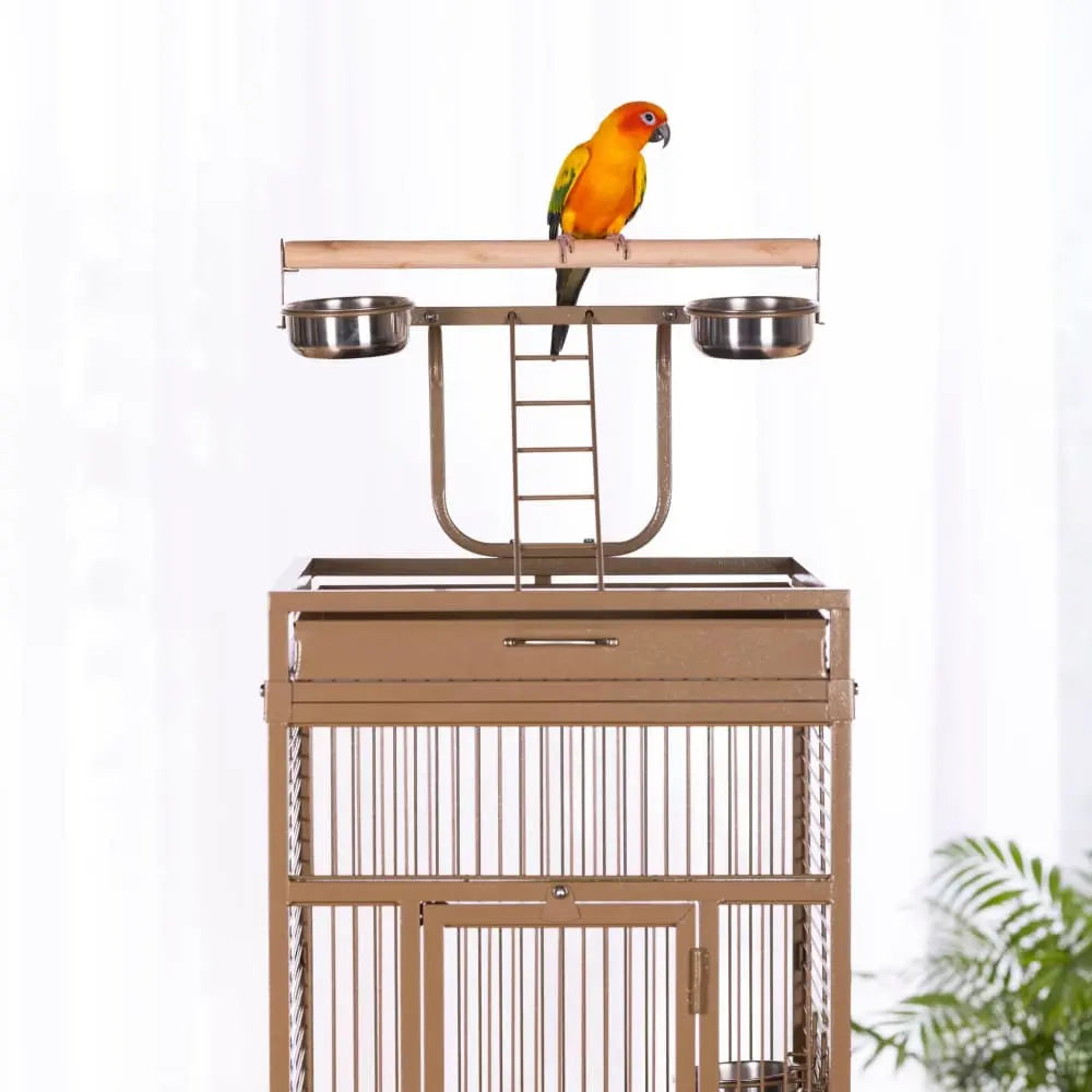 Prevue Pet Products High - Quality Powder - Coated Steel Playtop Bird Cage 3151