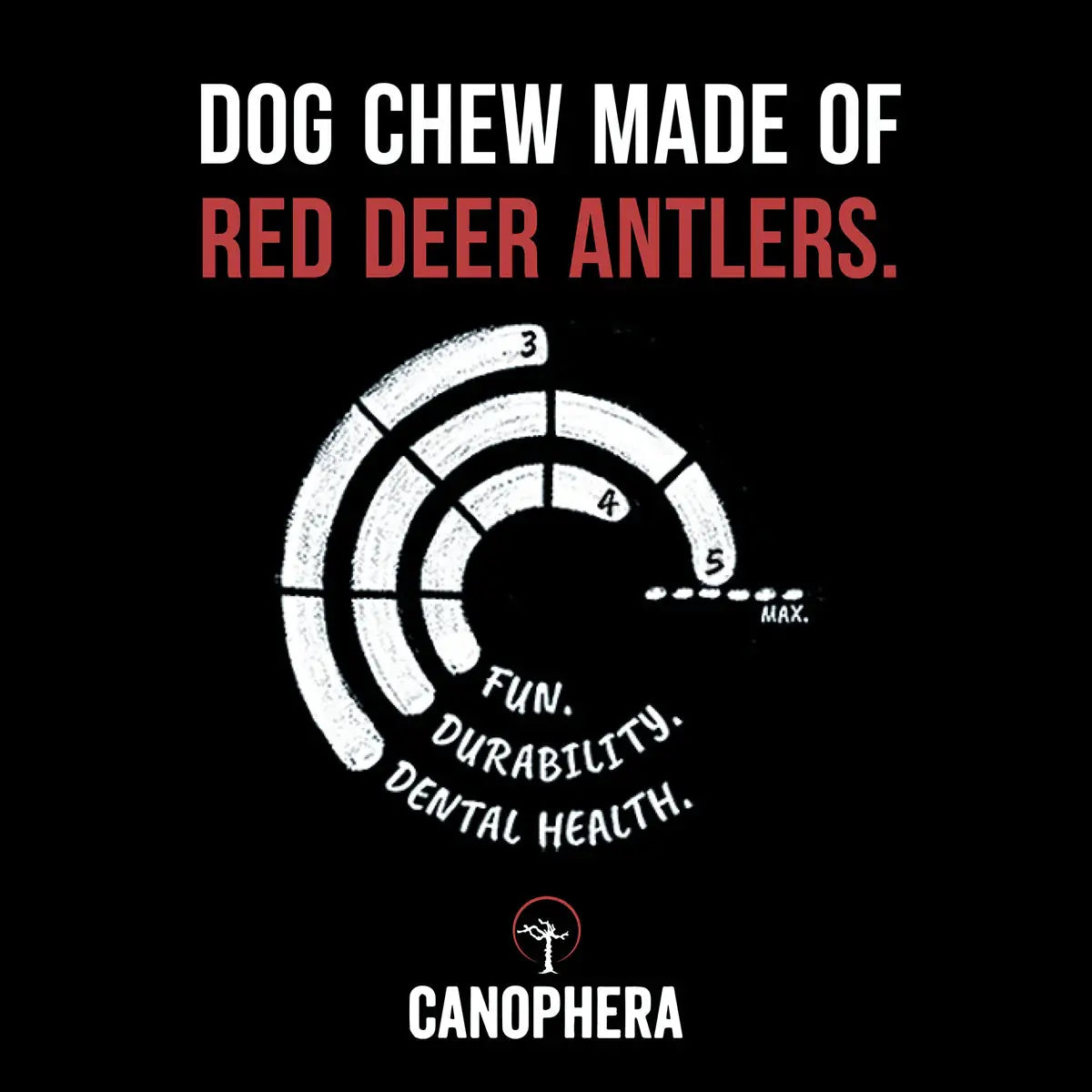Canophera All - Natural Grade - A Whole Red Deer Antler Dog Chews for Healthy Teeth