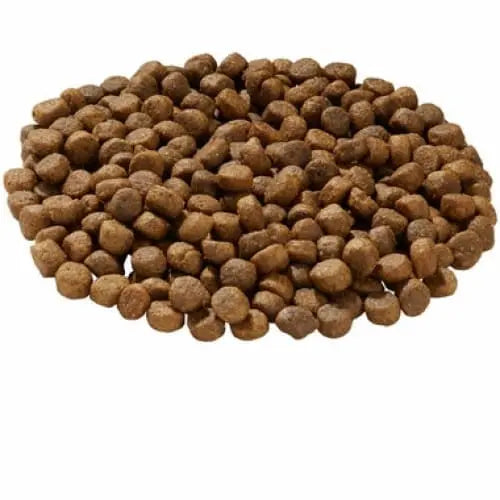 Healthy Grain-Free Venison Dry Dog Food for a Happy Canine