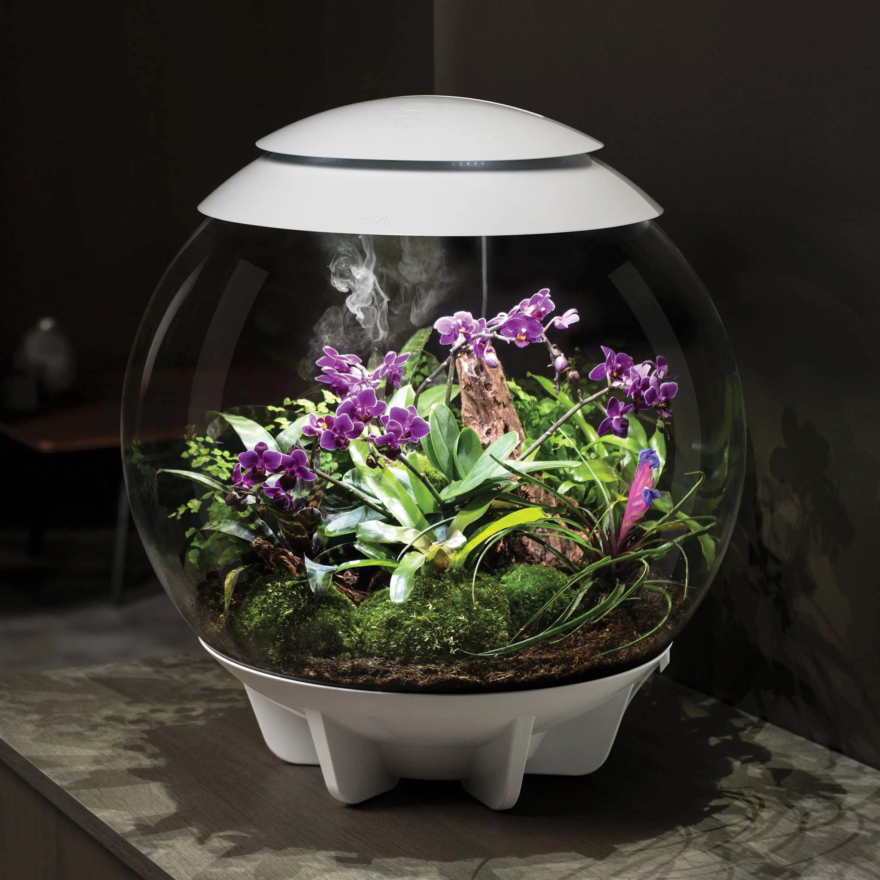 BiOrb AIR 60 Modern Glossy Terrarium for Tropical Plants and Creatures