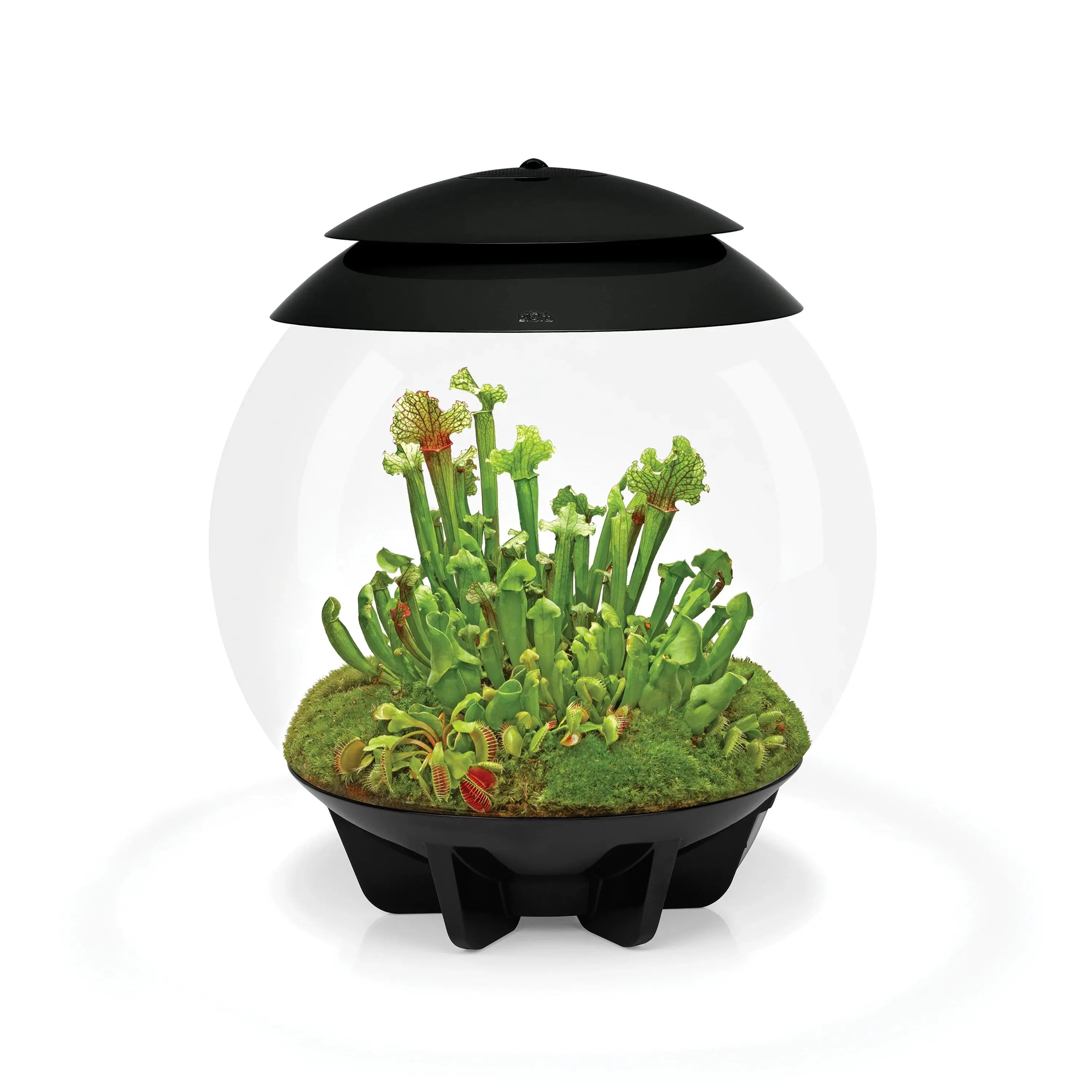 biOrb AIR 30 LED Acrylic Terrarium with Automated Care and 360 - Degree View