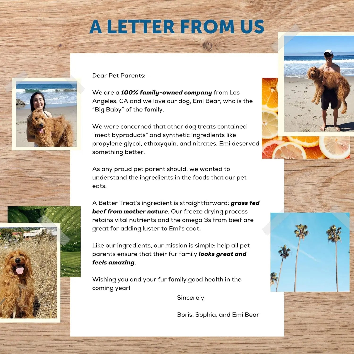 Premium Freeze - Dried Grass - Fed Beef Liver Treats for Dogs and Cats