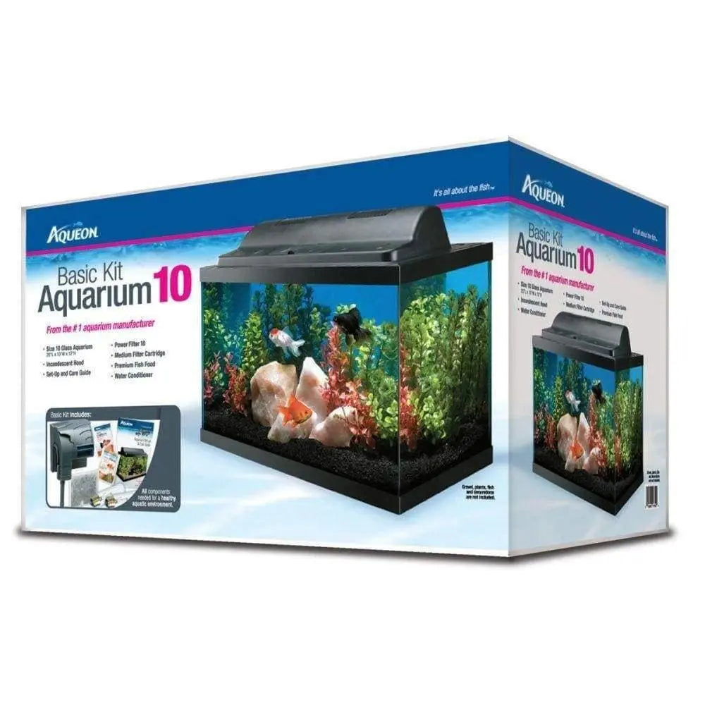 Aqueon 10-Gallon Basic Starter Aquarium Kit for Beginner Fishkeeping Hobbyists