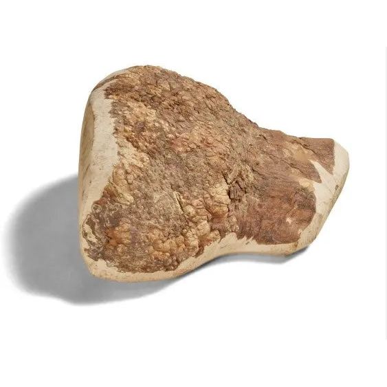 CANOPHERA All-Natural Long-Lasting Briar Wood Chews for Dogs