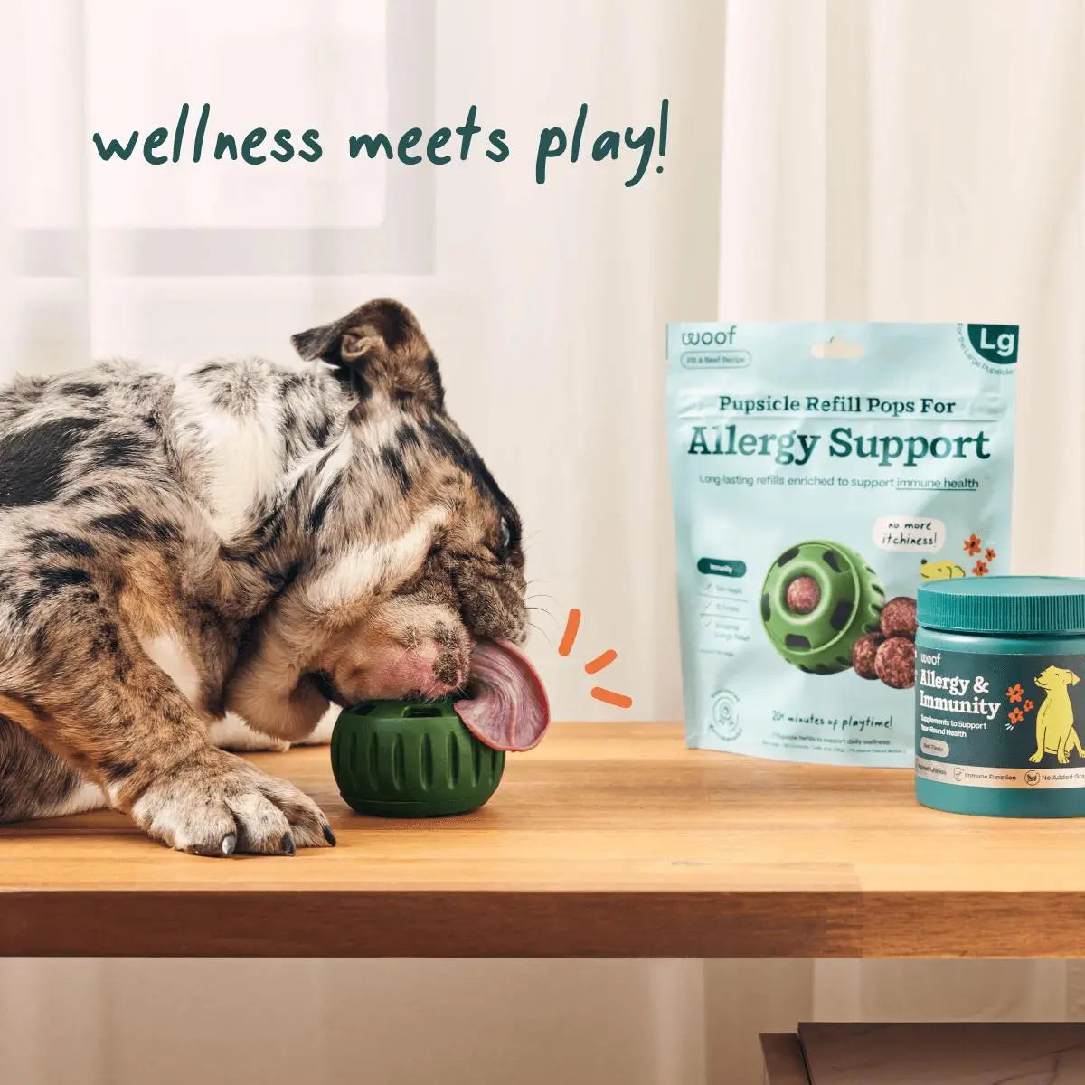 Woof Pet Long - Lasting Lickable Pupsicle Refills for Dog Allergy & Immunity