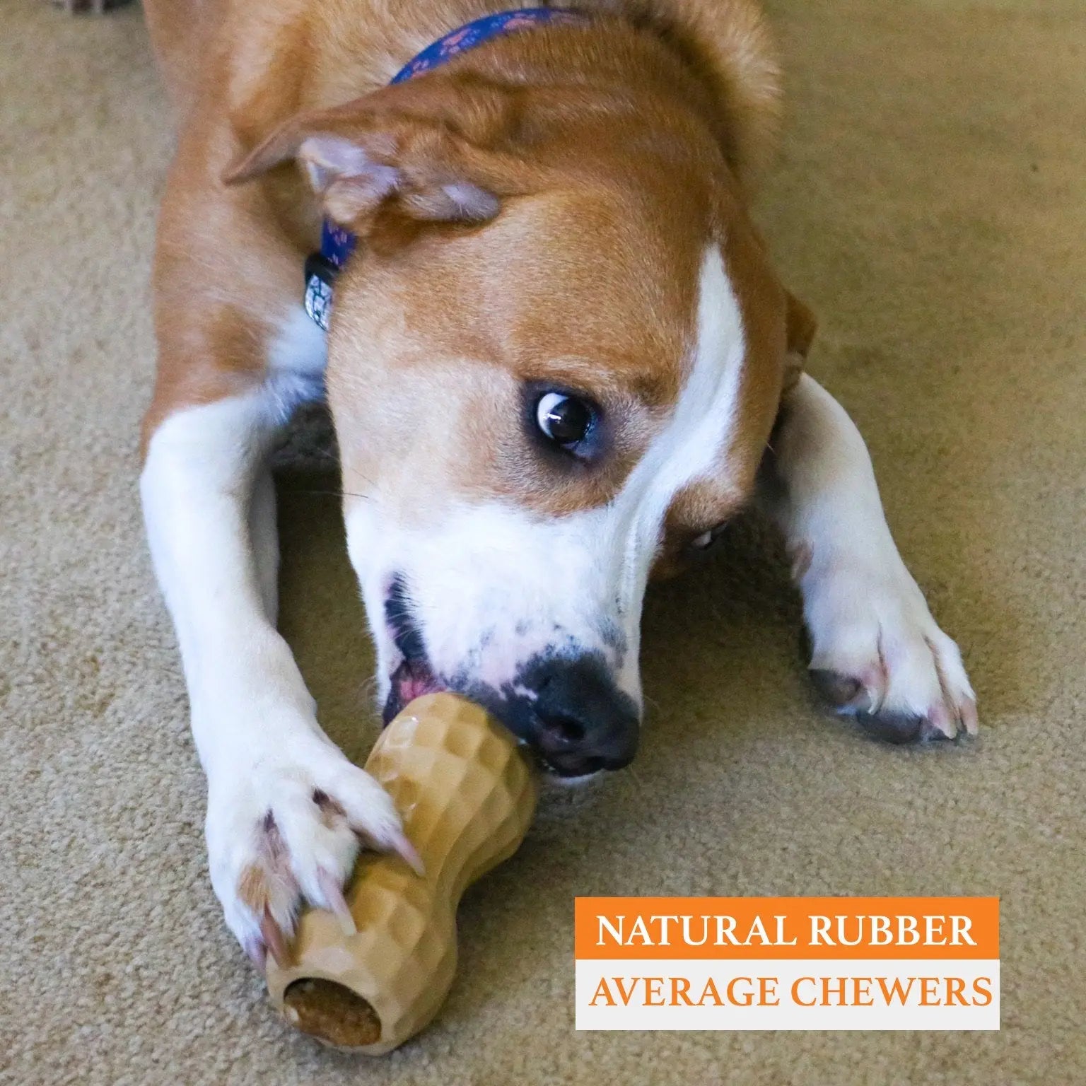 Anxiety - Relieving Flexible Silicone Bone - Shaped Dog Lick Pad Chew Toy