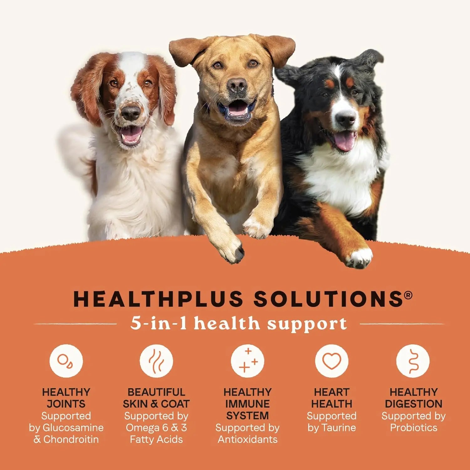 CANIDAE High-Protein Multi-Protein Dry Dog Food for All Life Stages