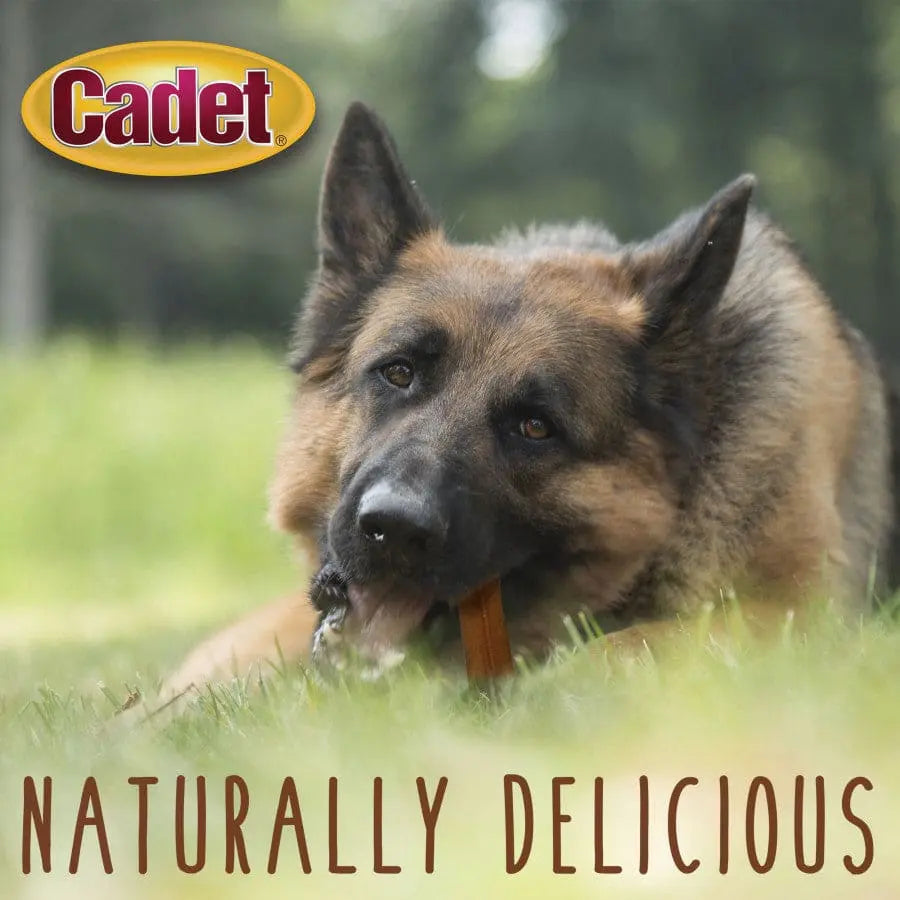 Cadet Premium Slow - Roasted 100% Real Beef Bully Sticks for Dogs