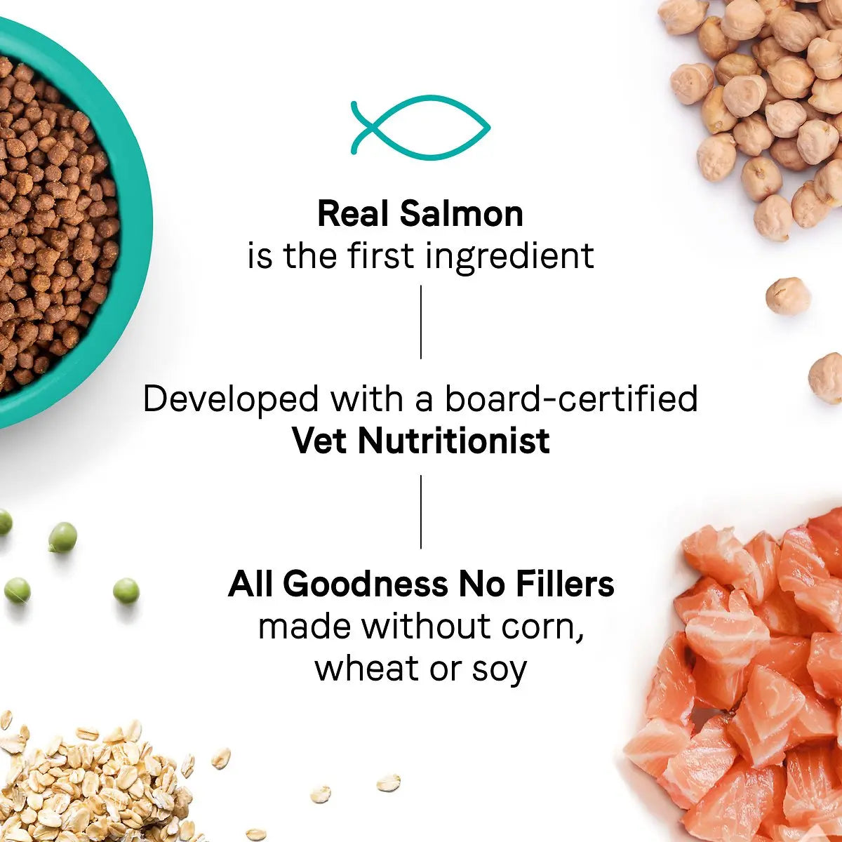CANIDAE Real Chicken Dry Cat Food for Optimal Digestion