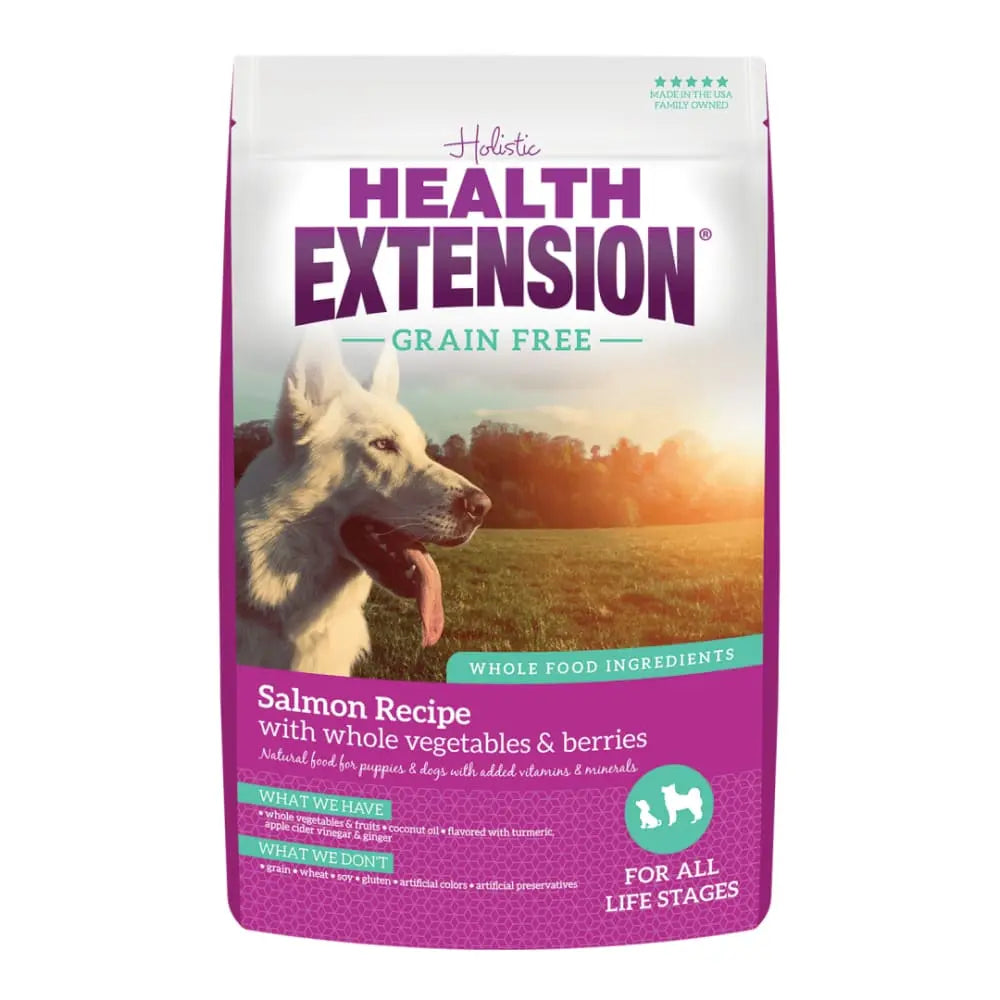 Healthy Grain-Free Salmon Dry Dog Food for Optimal Canine Wellness