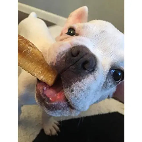 Organic Honey - Infused Yak Milk Chews: A Healthy Dog Treat