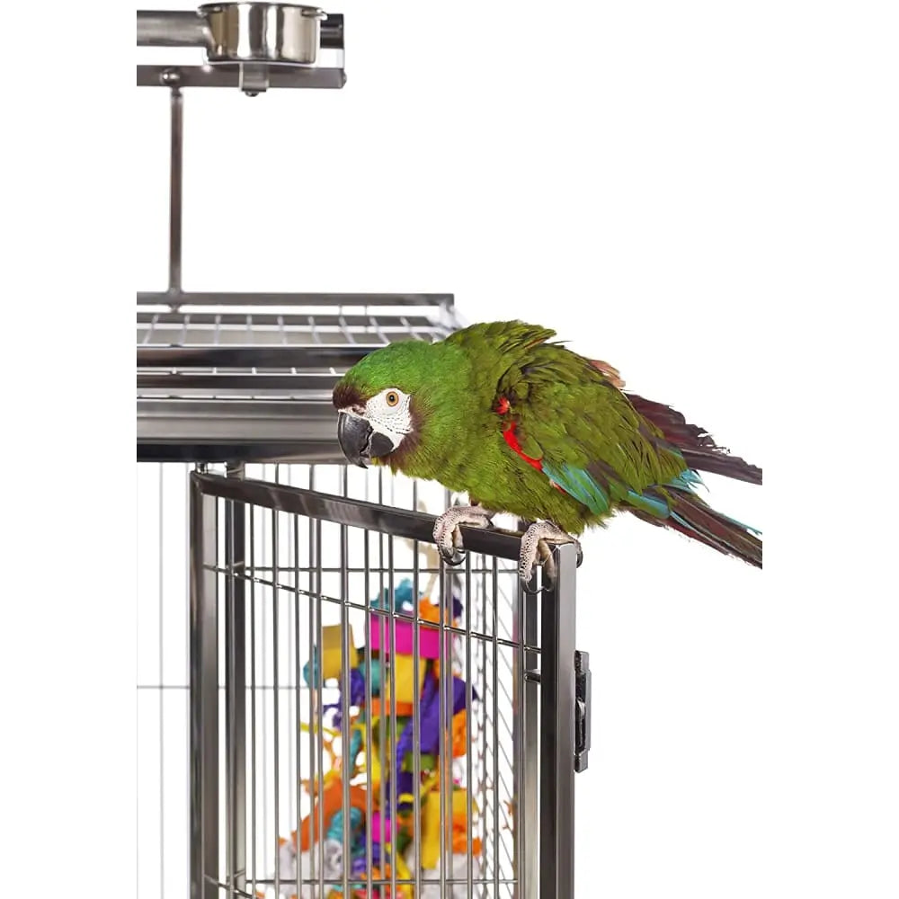 Prevue Pet Products Premium Large-Scale Stainless Steel Bird Cage with Play Top
