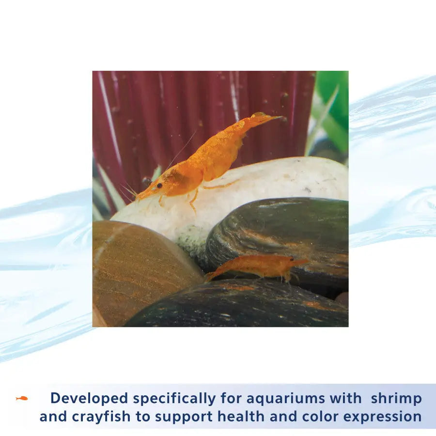 Aqueon Premium Shrimp Tank Plus for Small Freshwater Aquariums
