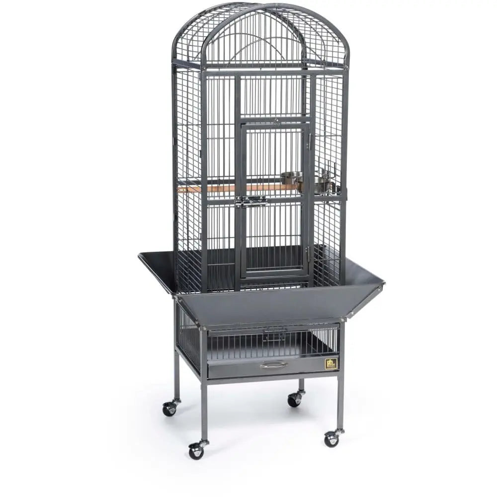 Prevue Pet Products Small-Sized Dome Top Style Bird Cage - Chalk White Finish