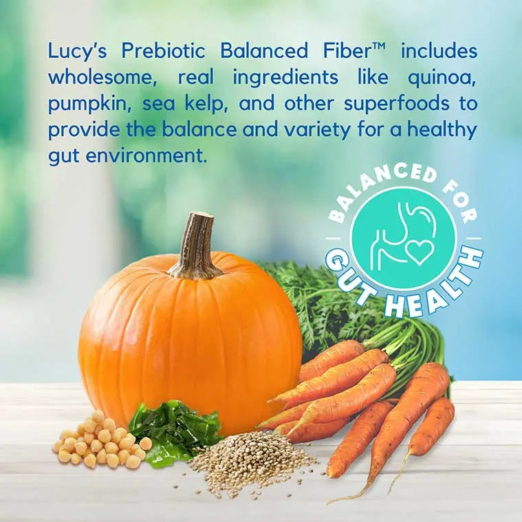 Lucy Pet's Premium L.I.D. Grain-Free Dry Dog Food with Duck, Pumpkin & Quinoa