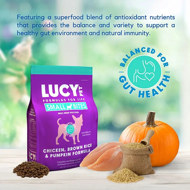 Lucy Pet's Life Formula L.I.D. Dry Dog Food: Chicken, Brown Rice & Pumpkin for Small Breeds