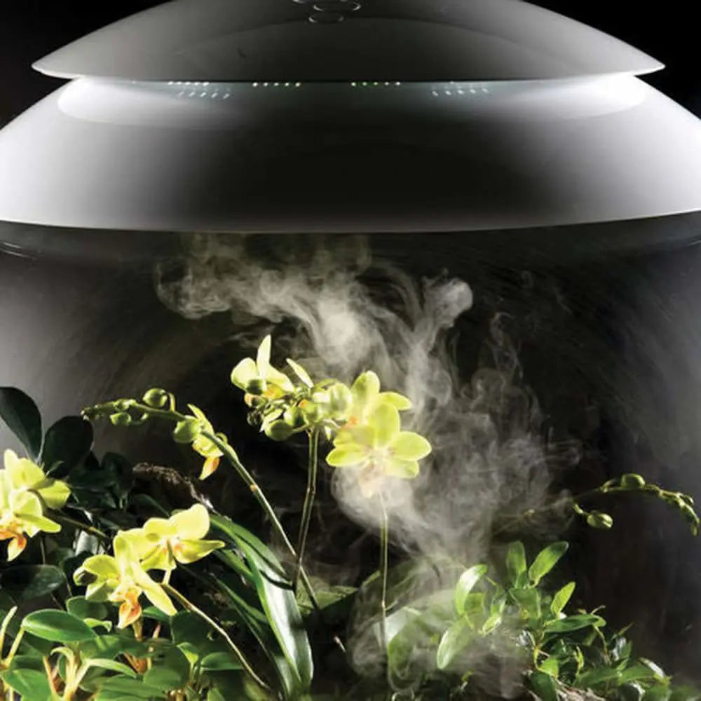 biOrb AIR 30 LED Acrylic Terrarium with Automated Care and 360 - Degree View