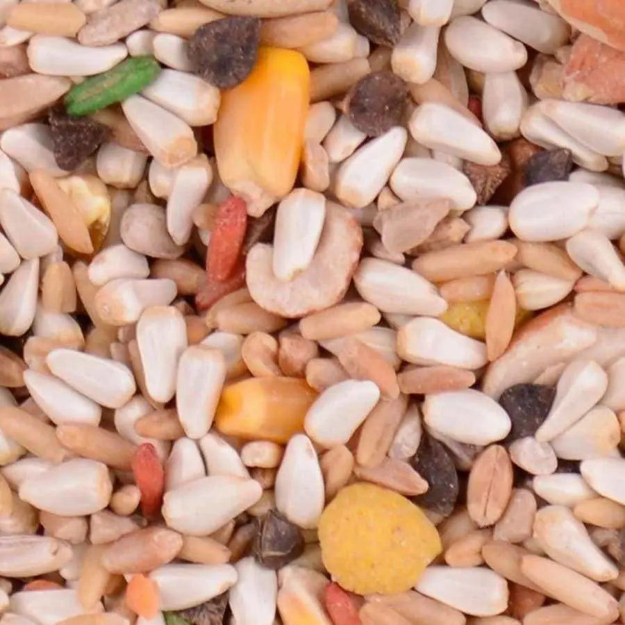 Volkman Seed Company's Premium Bird's Delight Parrot Safflower Seed Food Blend