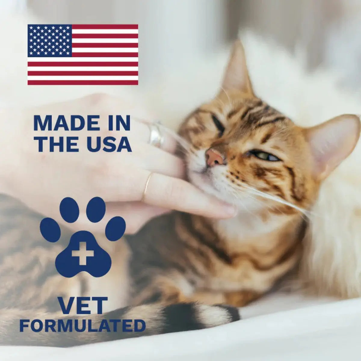 4oz Vet-Formulated Under the Weather Anti-Diarrhea Liquid for Feline Friends
