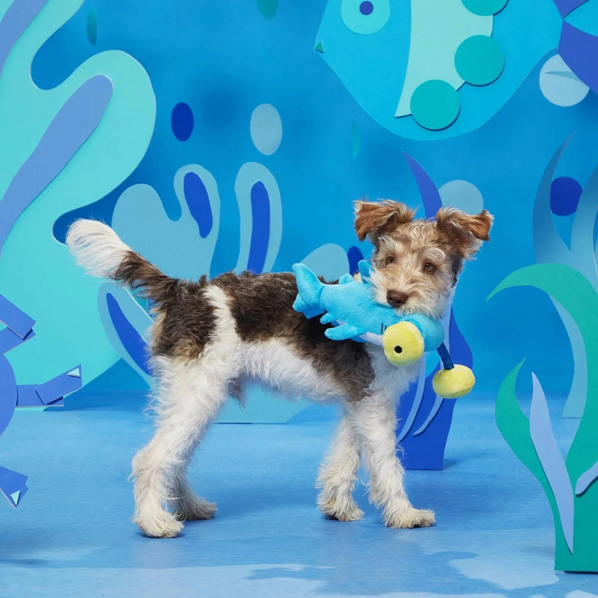 BARK Hammerin' Hank the Shark Interactive Dog Chew Toys for Canine Fun