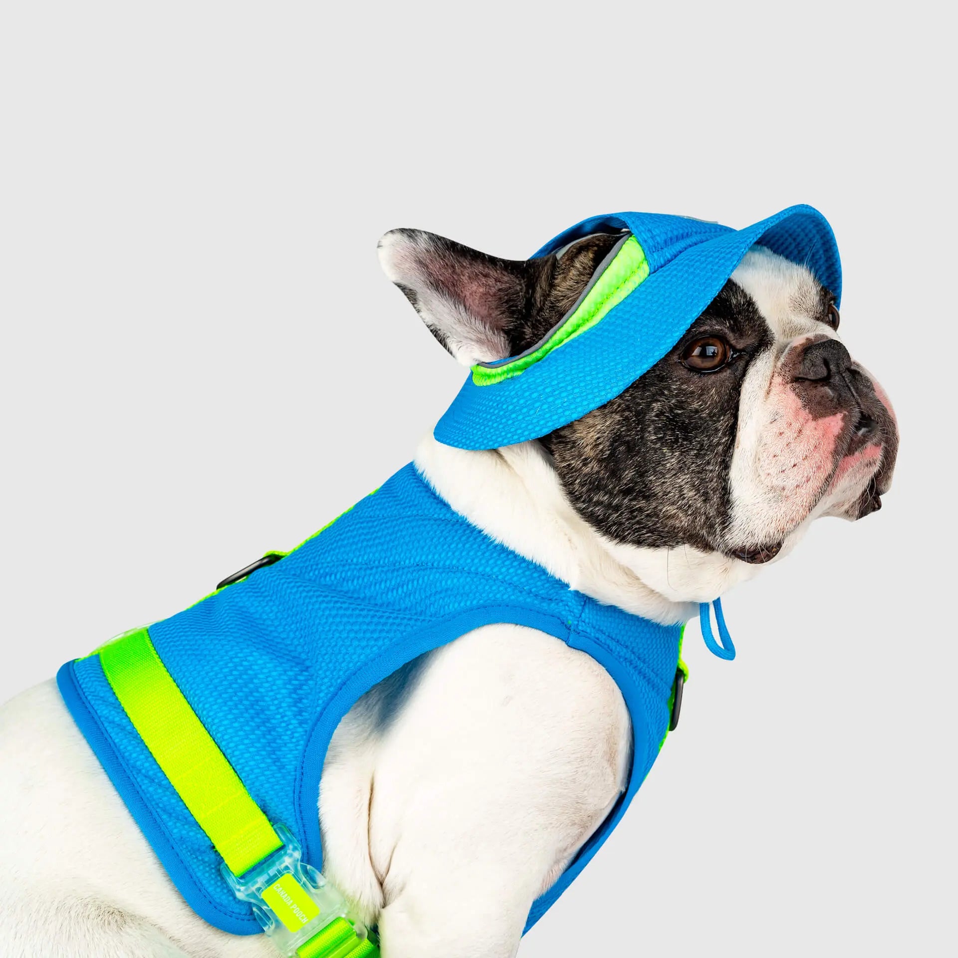 Canada Pooch Premium Cooling Dog Hat - Chill Seeker for Canine Comfort in Summer