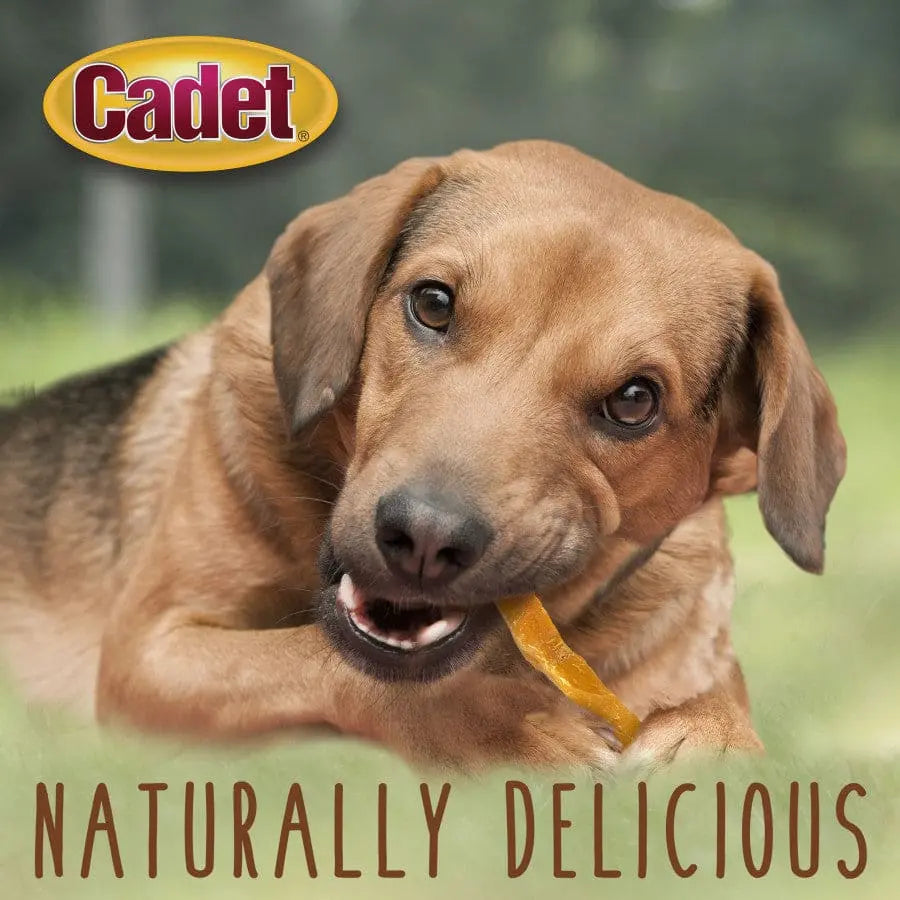 Cadet® Gourmet Sweet Potato Steak Fries Dog Treats - One Pound Package