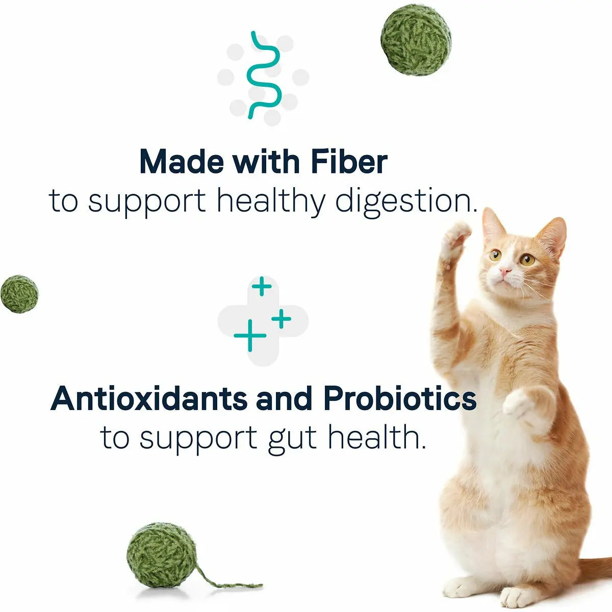 CANIDAE Real Chicken Dry Cat Food for Optimal Digestion
