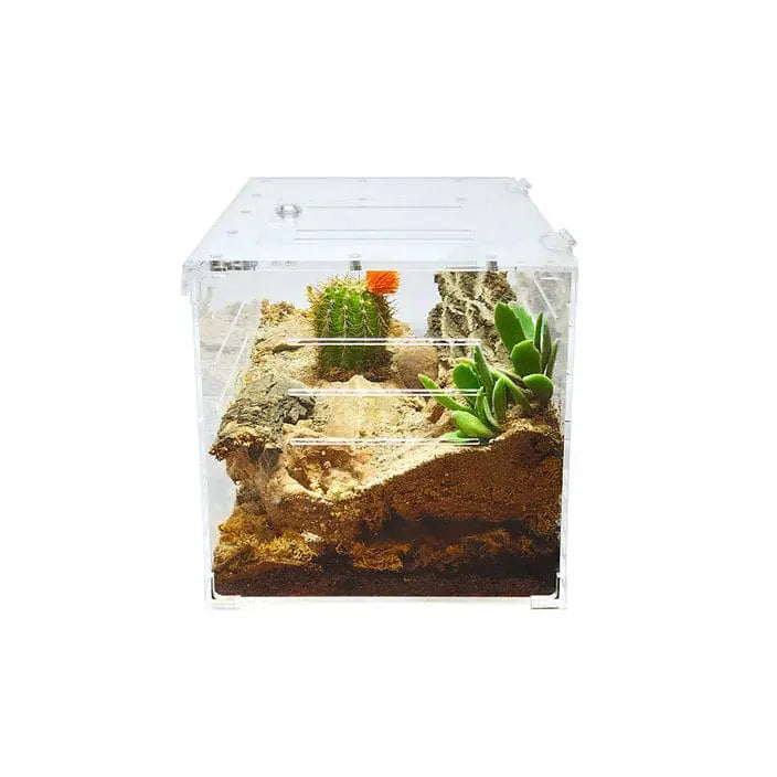 Large Transparent Acrylic Two-Way Enclosure for Reptile Breeding Terrarium Cage Tank