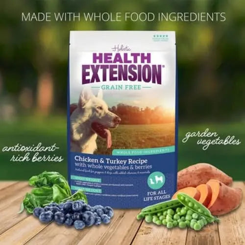 Health Extension Premium Grain - Free Dry Dog Food with Chicken and Turkey