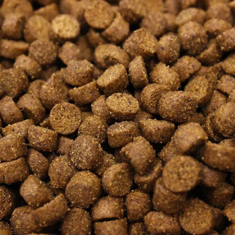 Higgins inTune Grain-Free Ferret Food - Premium 4-Pound Bag