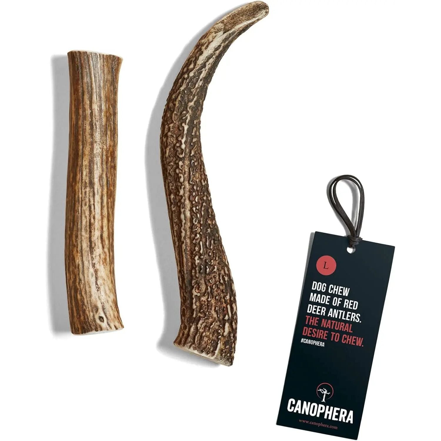 Canophera All - Natural Grade - A Whole Red Deer Antler Dog Chews for Healthy Teeth