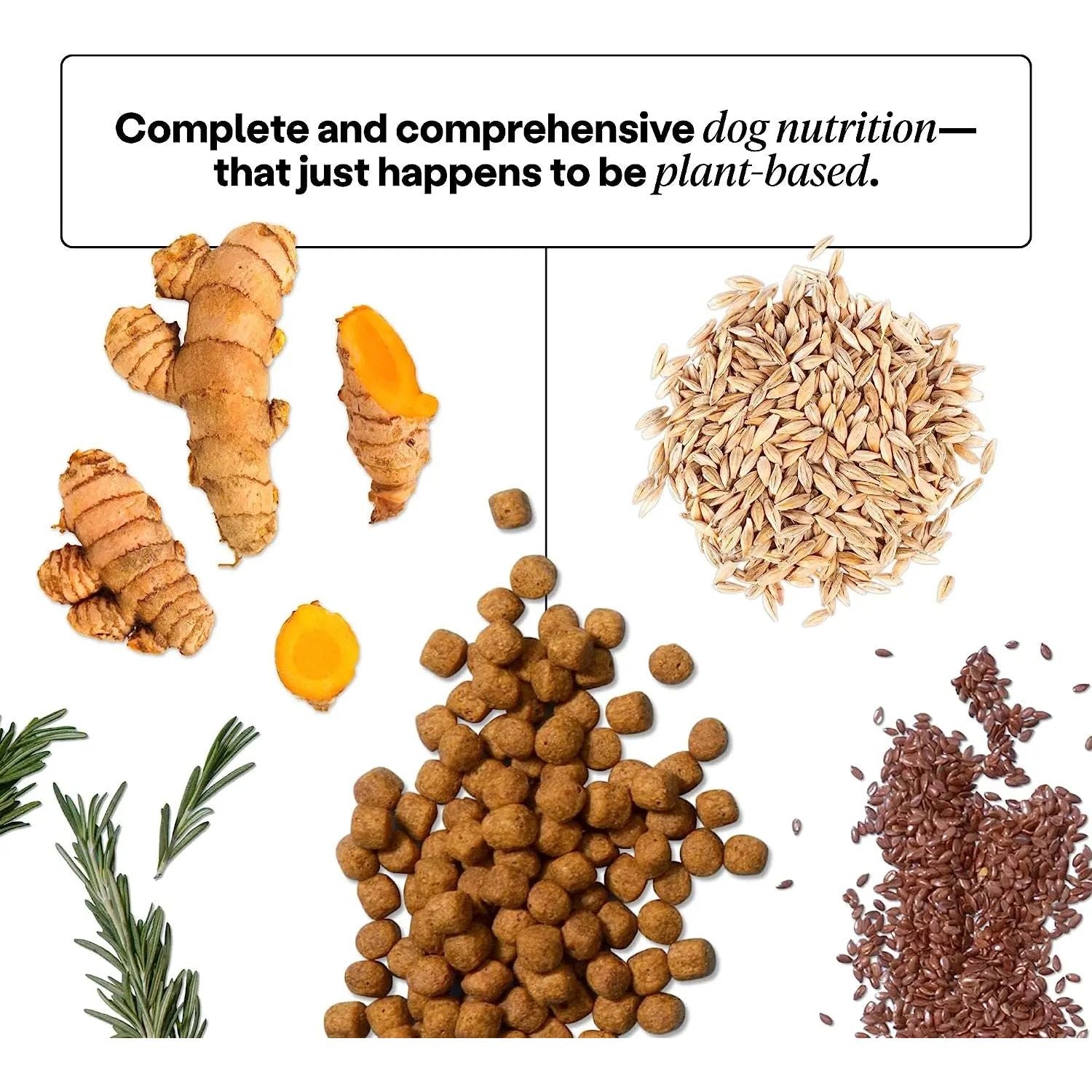 Wild Earth Vegan Maintenance Dog Food: Golden Rotisserie Flavor for Allergy Relief