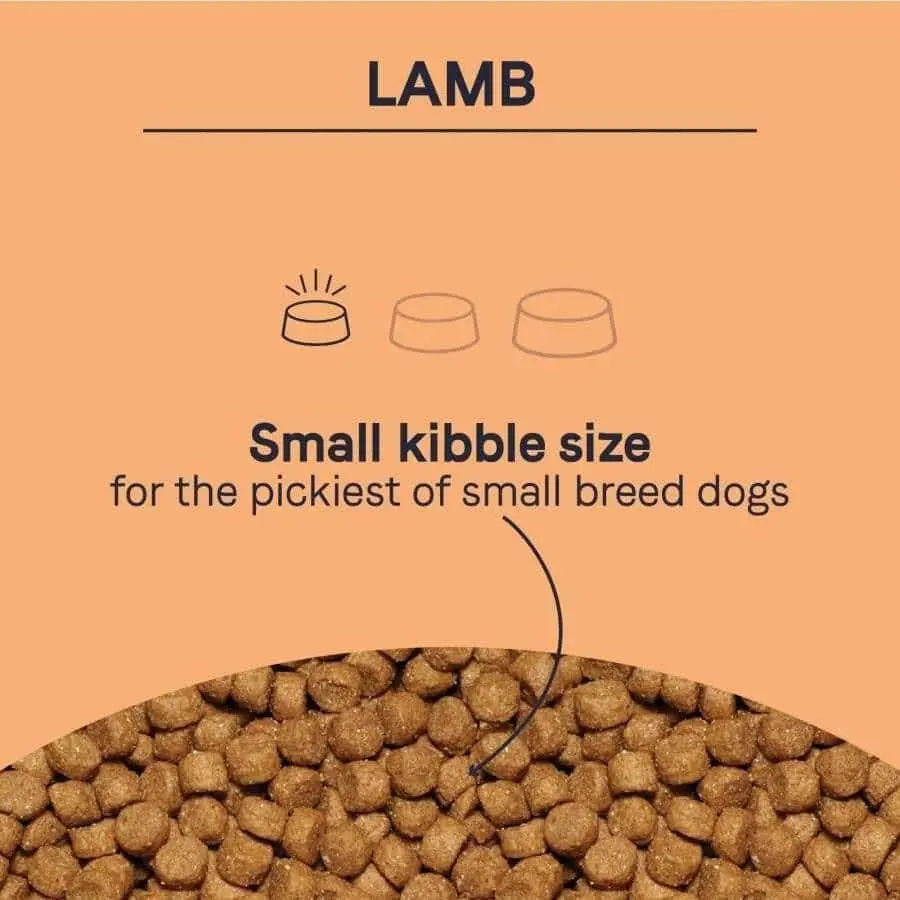 CANIDAE PURE Grain-Free Dry Dog Food with Lamb Freeze-Dried Coating for Petite Small Breed Adult Dogs