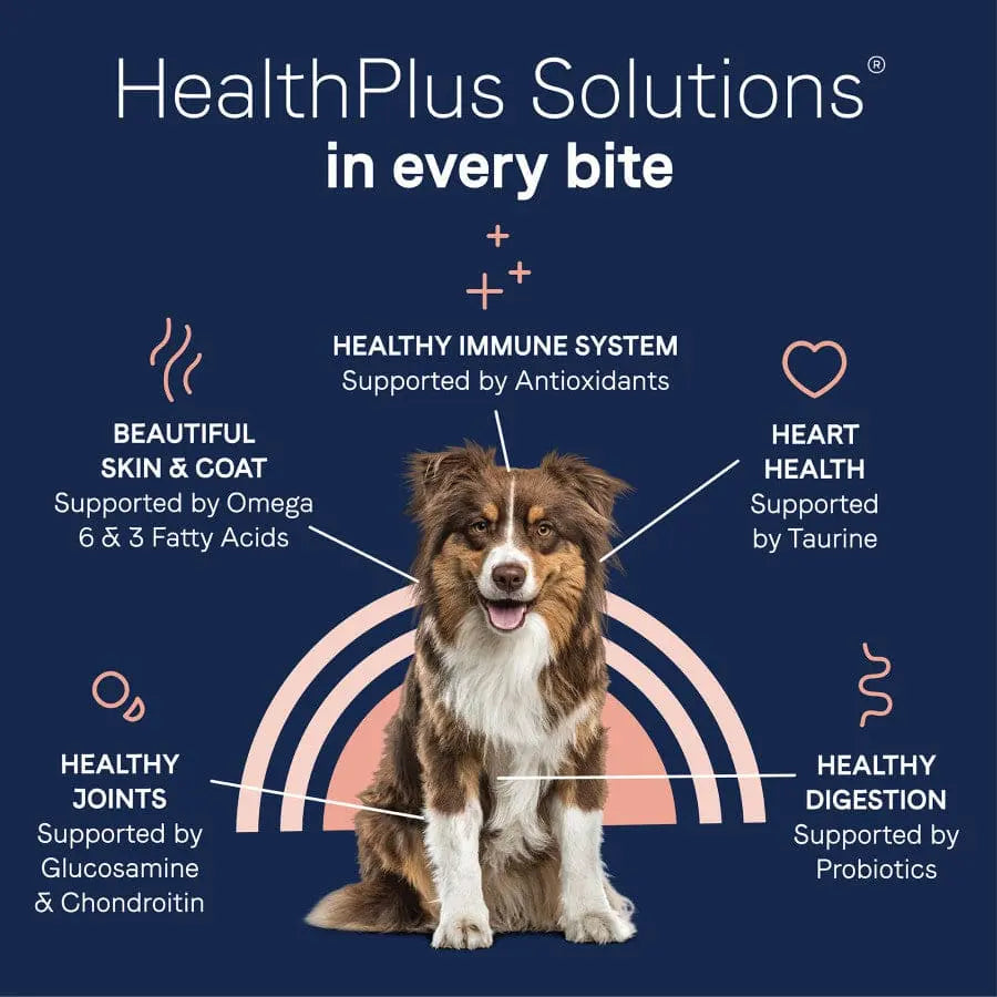 CANIDAE PURE Real Beef & Barley Dry Dog Food with Wholesome Grains