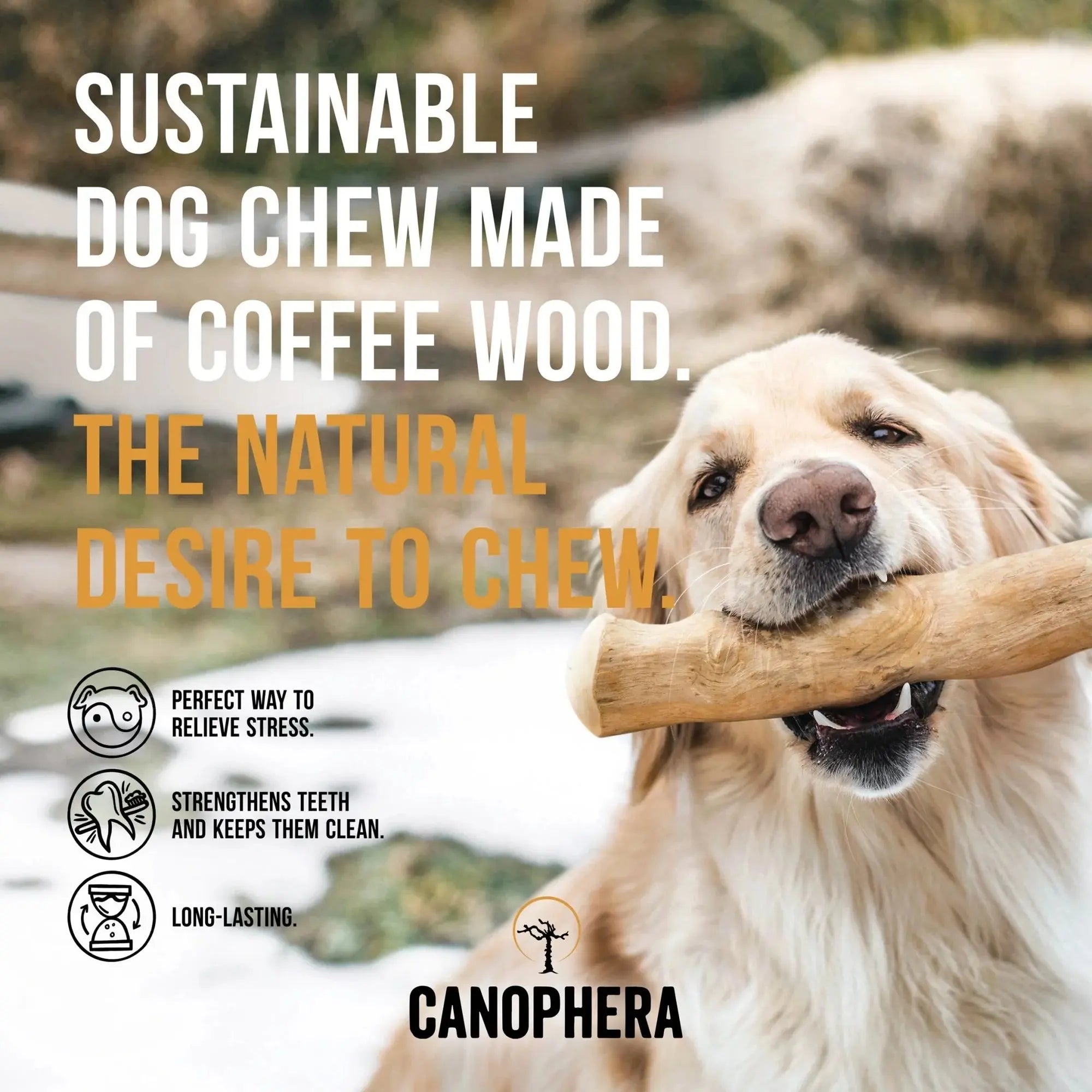 CANOPHERA Premium All-Natural Coffee Wood Chew Sticks for Canine Companions