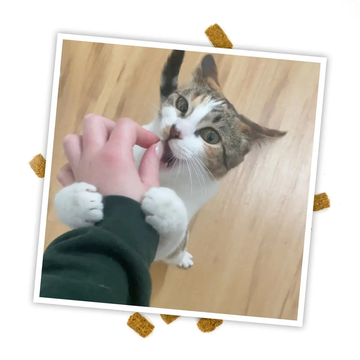 Meowijuana 3 Oz Crunchy Chicken & Catnip Flavored Cat Treats