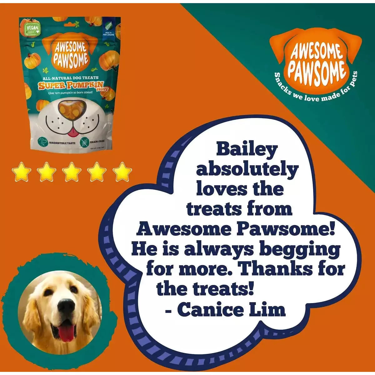 Incredibly Delightful Super Pumpkin Recipe Dog Treats - 3 Ounce Pack